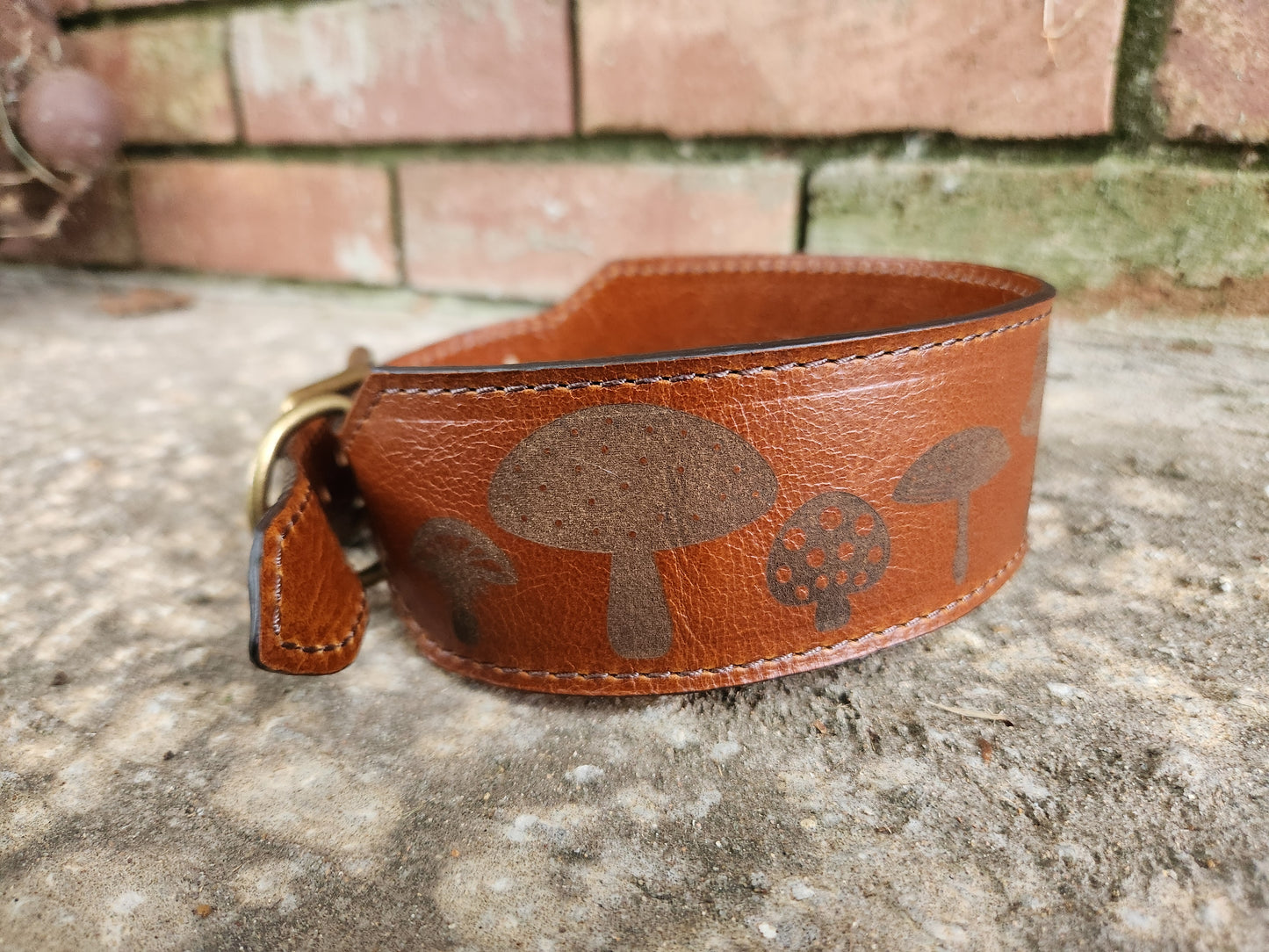Mushroom Collar