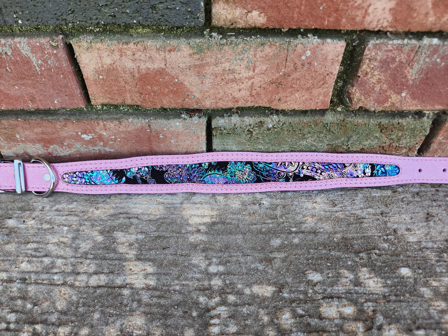Custom 1.5in Wide Buckle Collar W/Frame