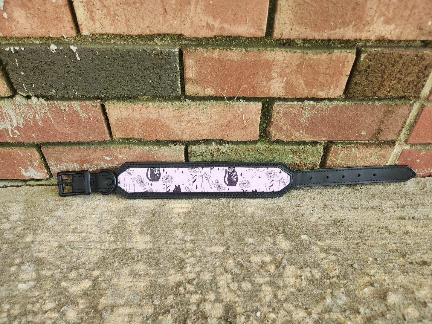 Custom Magical Cats Collar