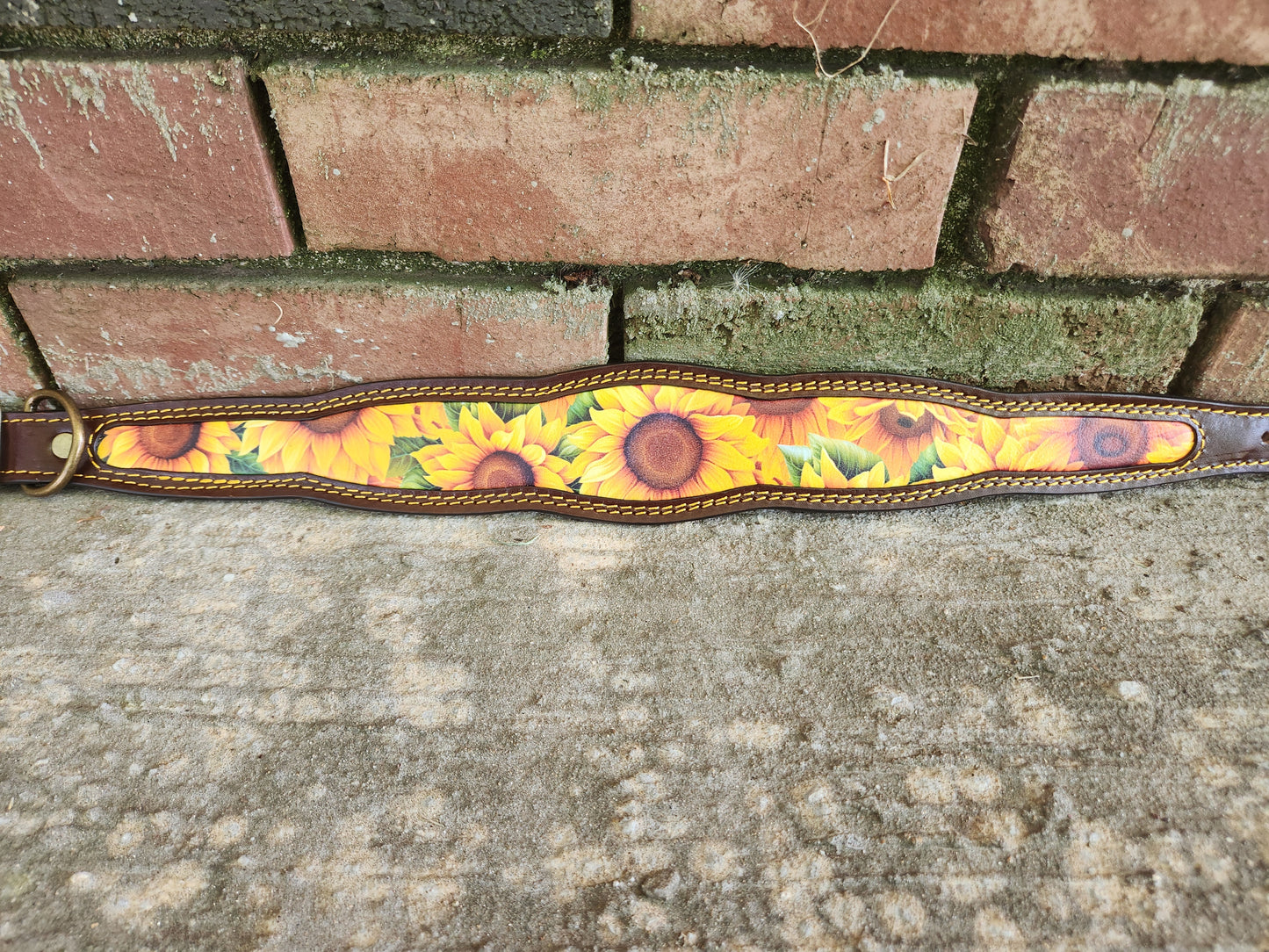Custom 2in Wide Buckle Collar W/Frame