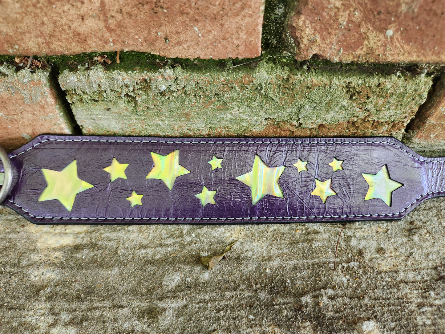 Purple Starry Night Collar