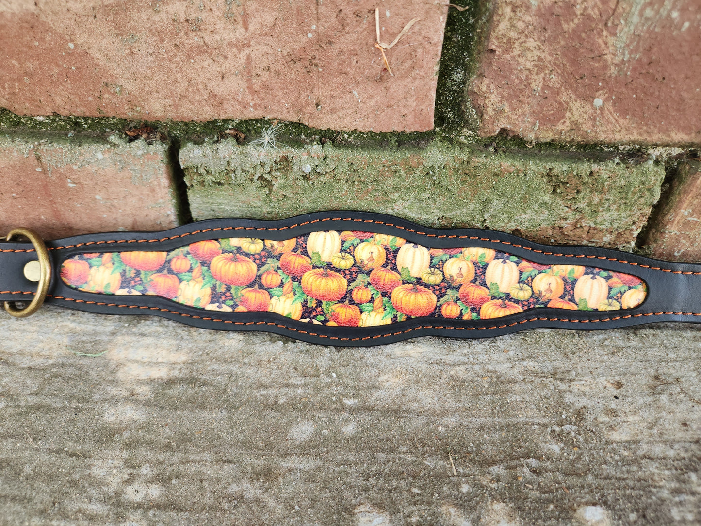 Custom Pumpkin Collar