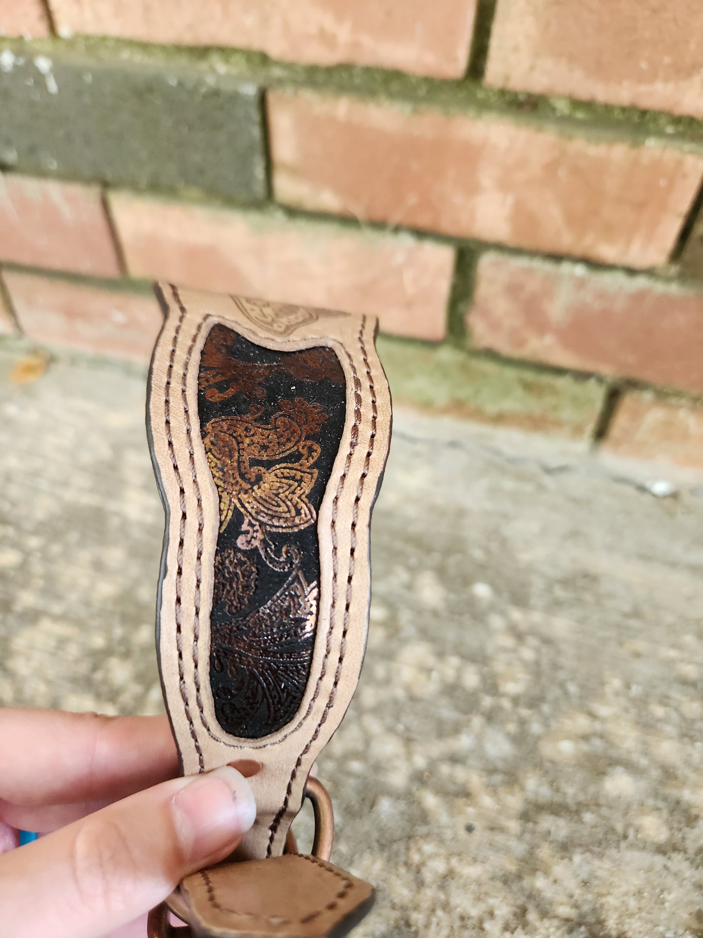 Moth
