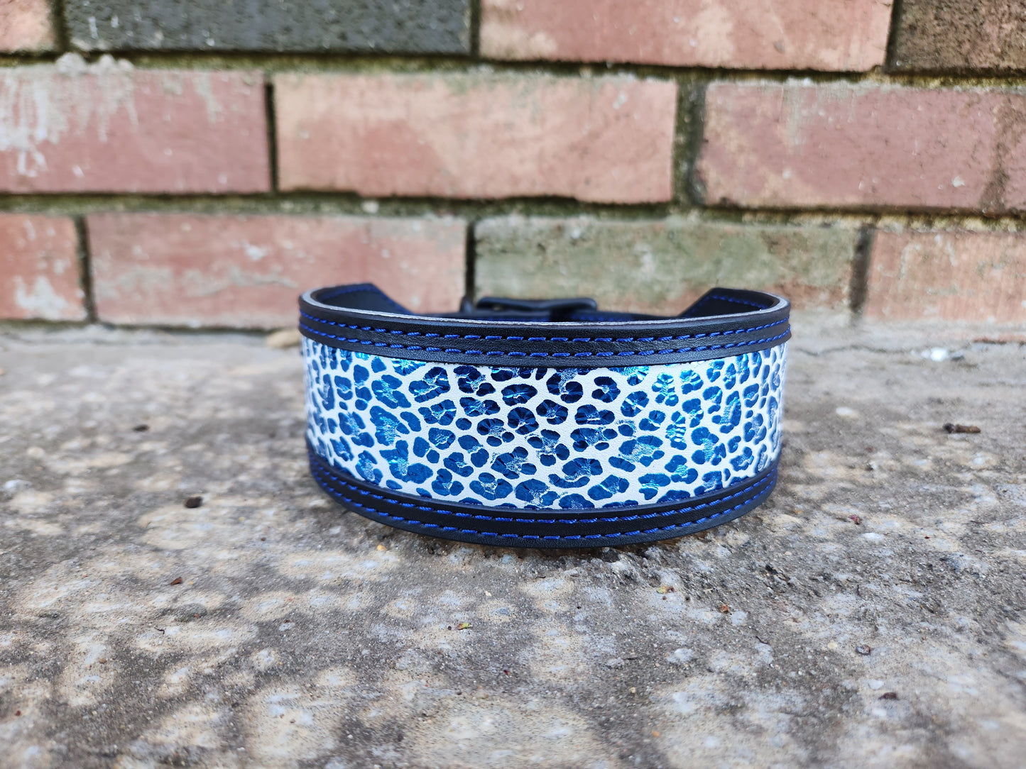 Custom 2in Wide Buckle Collar W/Frame
