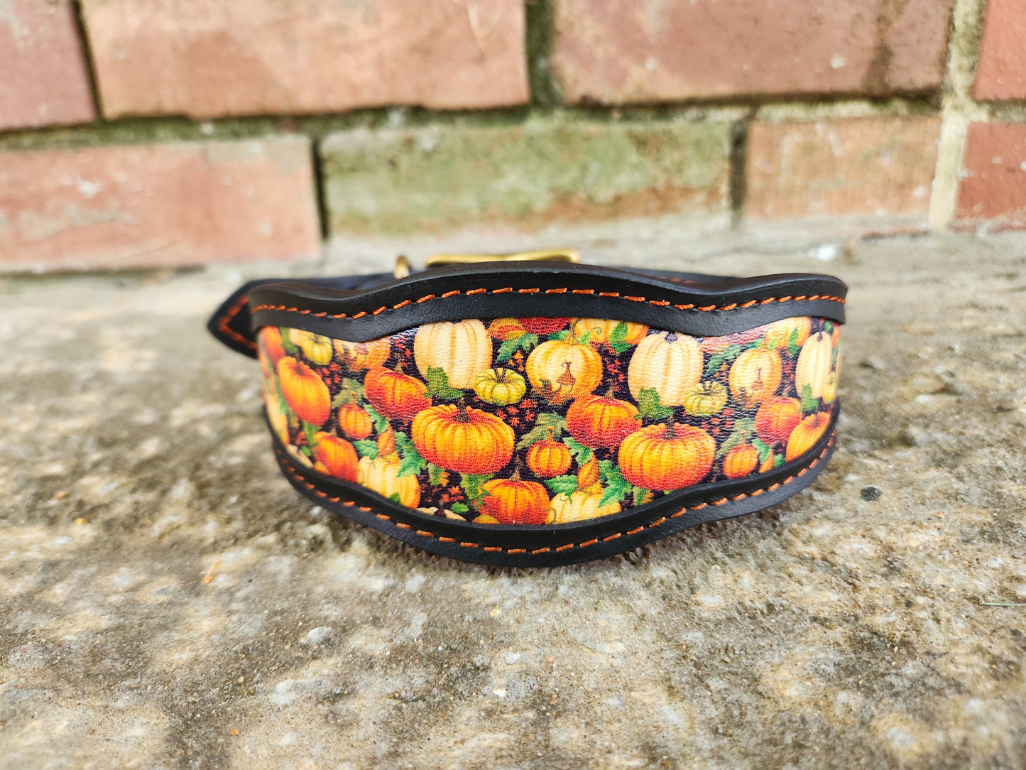 Custom 2in Wide Buckle Collar W/Frame