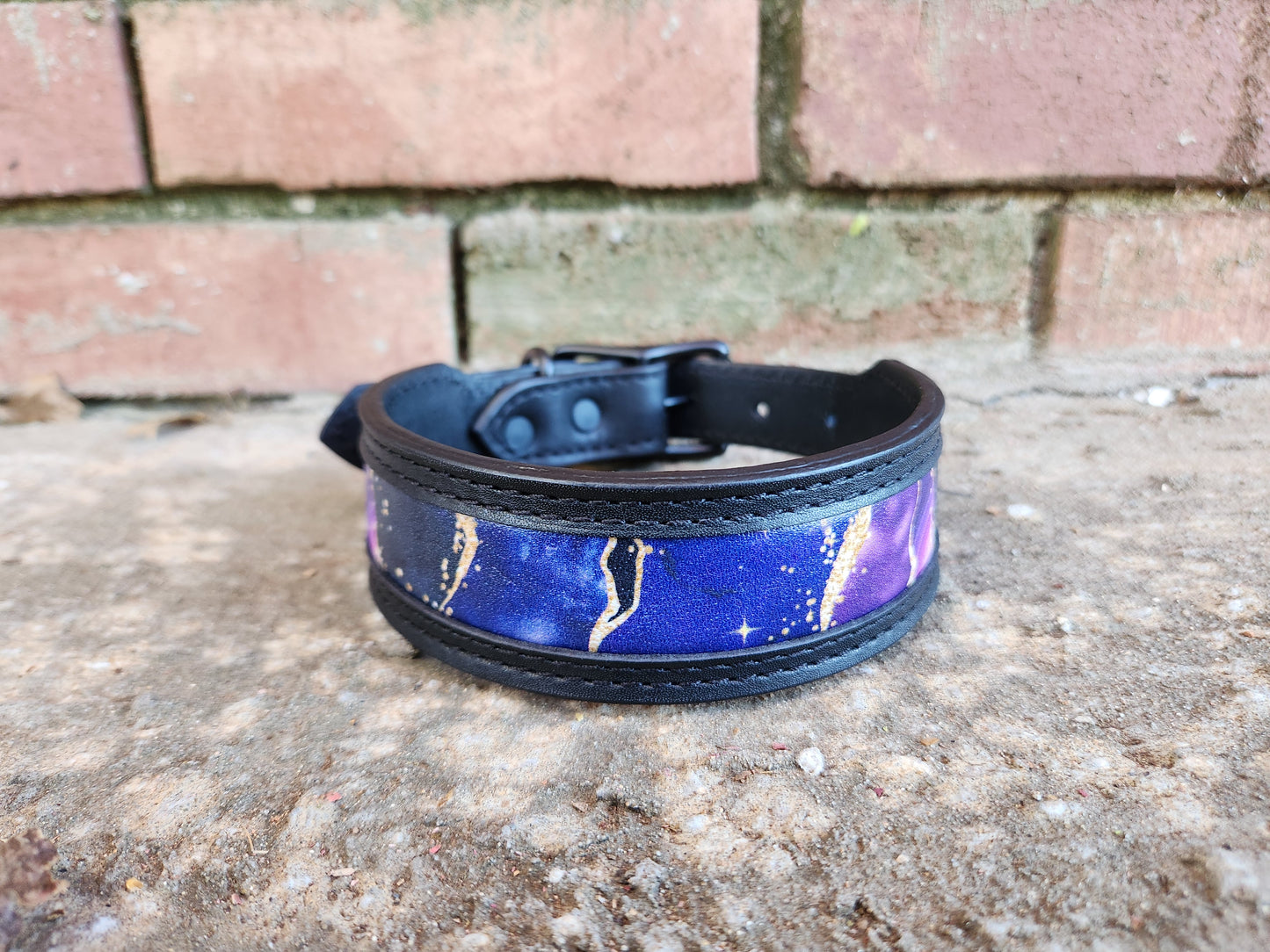 Custom 1.5in Wide Buckle Collar W/Frame