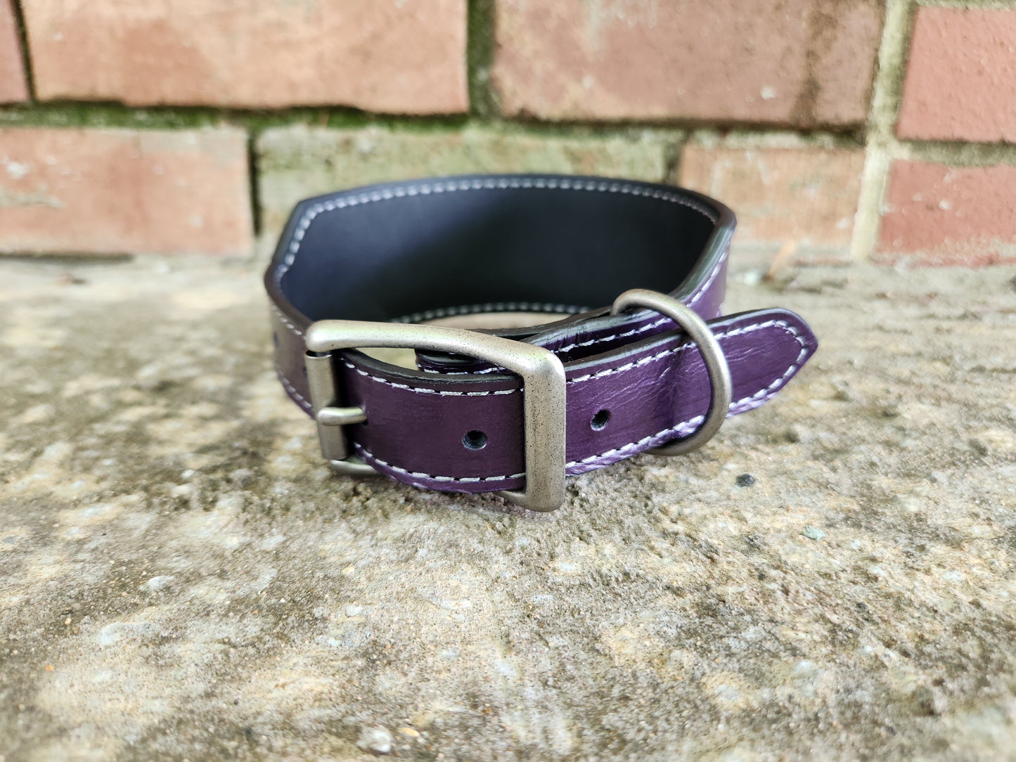 Purple Starry Night Collar