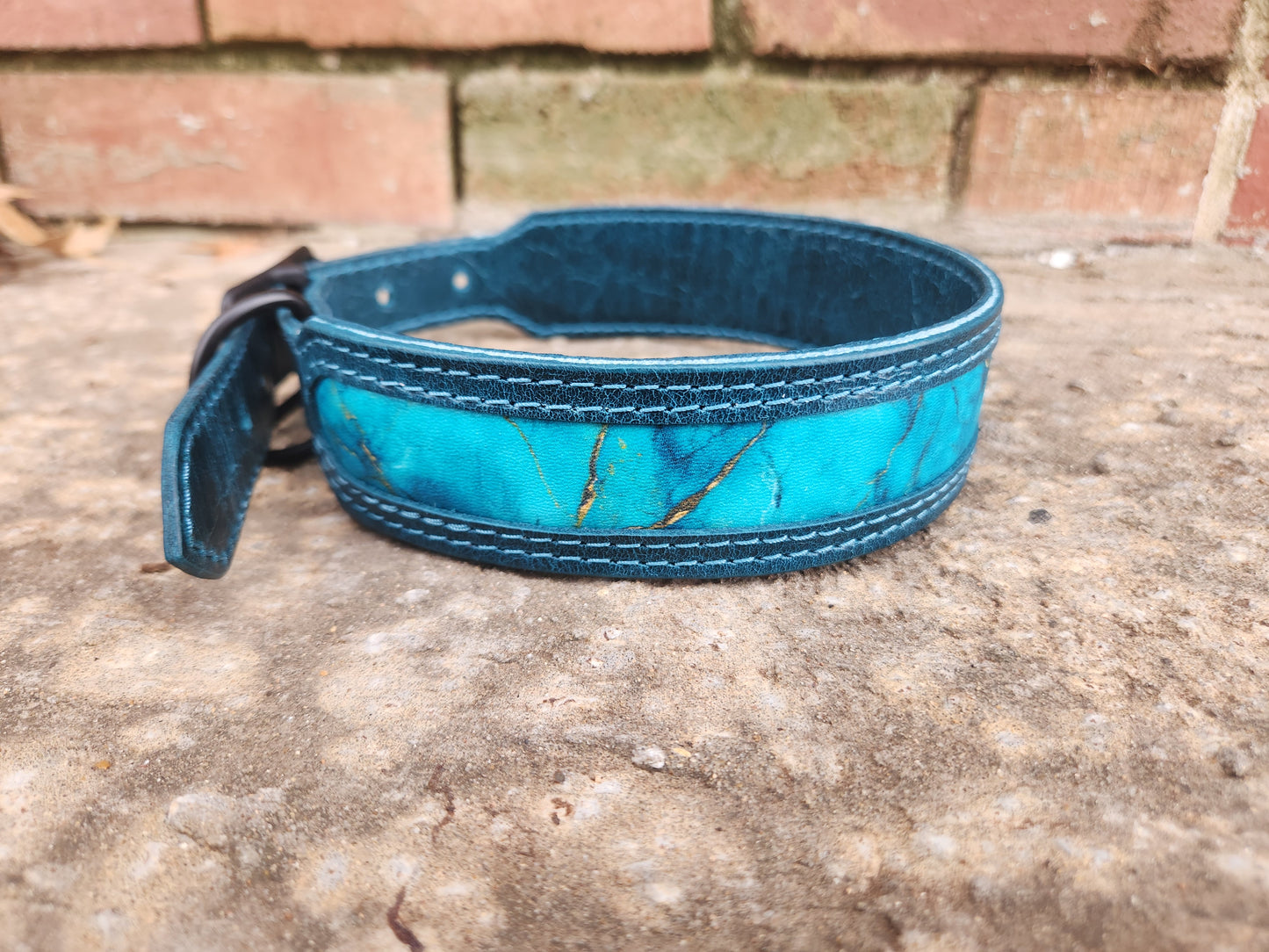 Custom 1.5in Wide Buckle Collar W/Frame