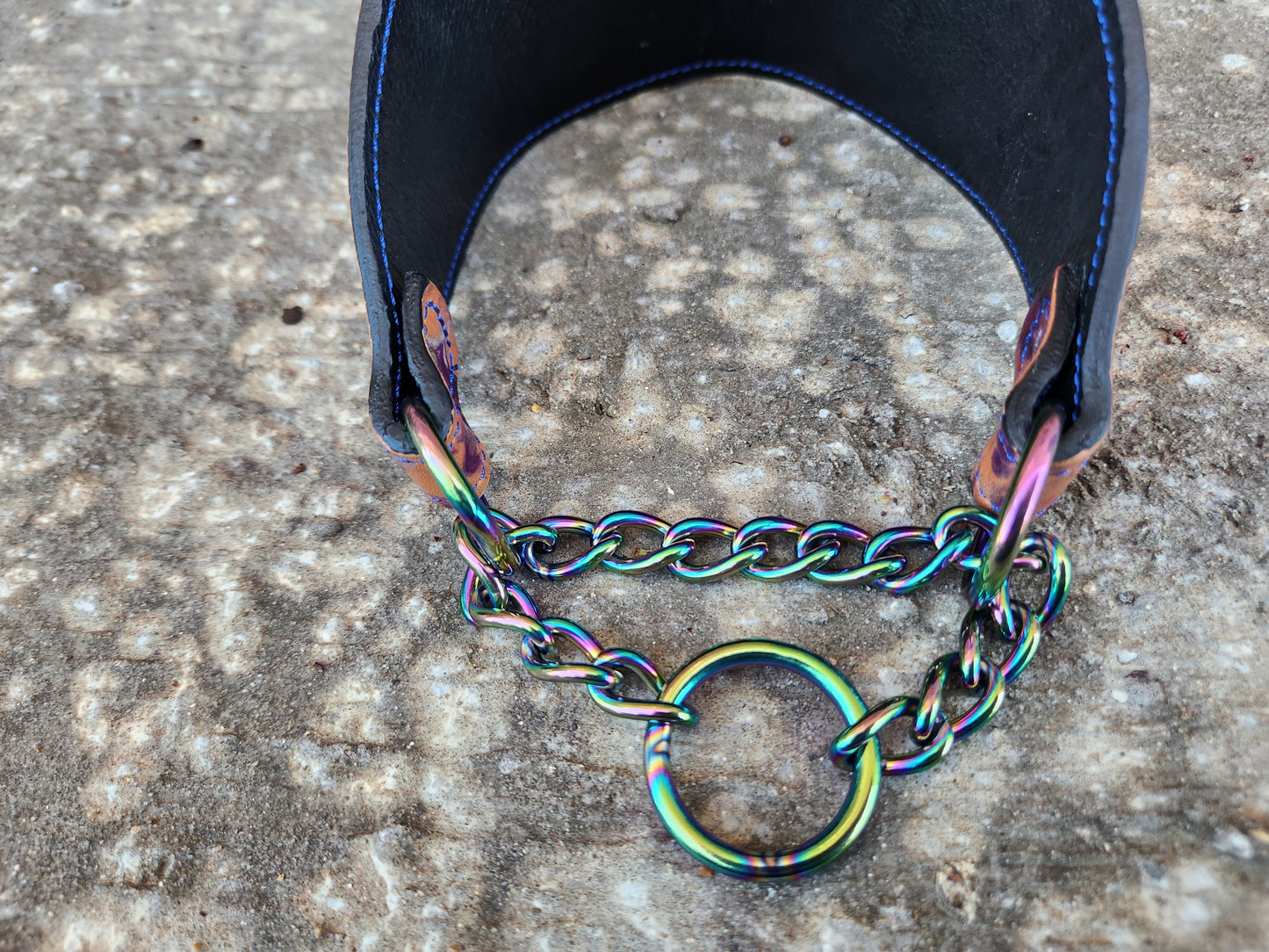 13"-17" Marbled martingale