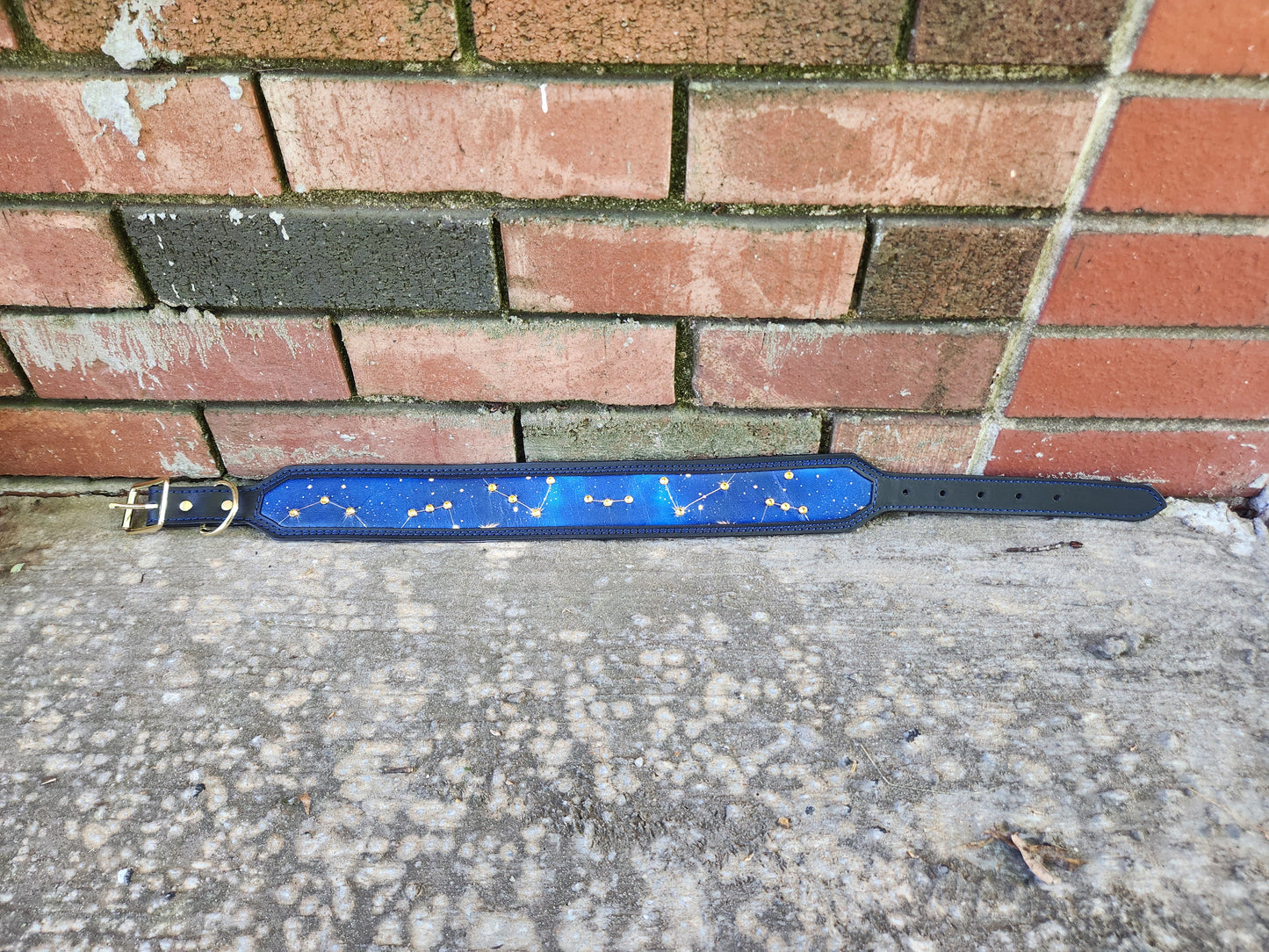 19-23in Stars Collar