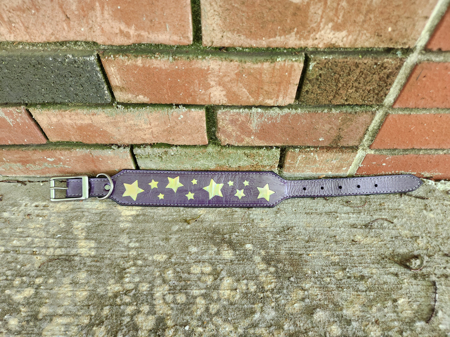Purple Starry Night Collar