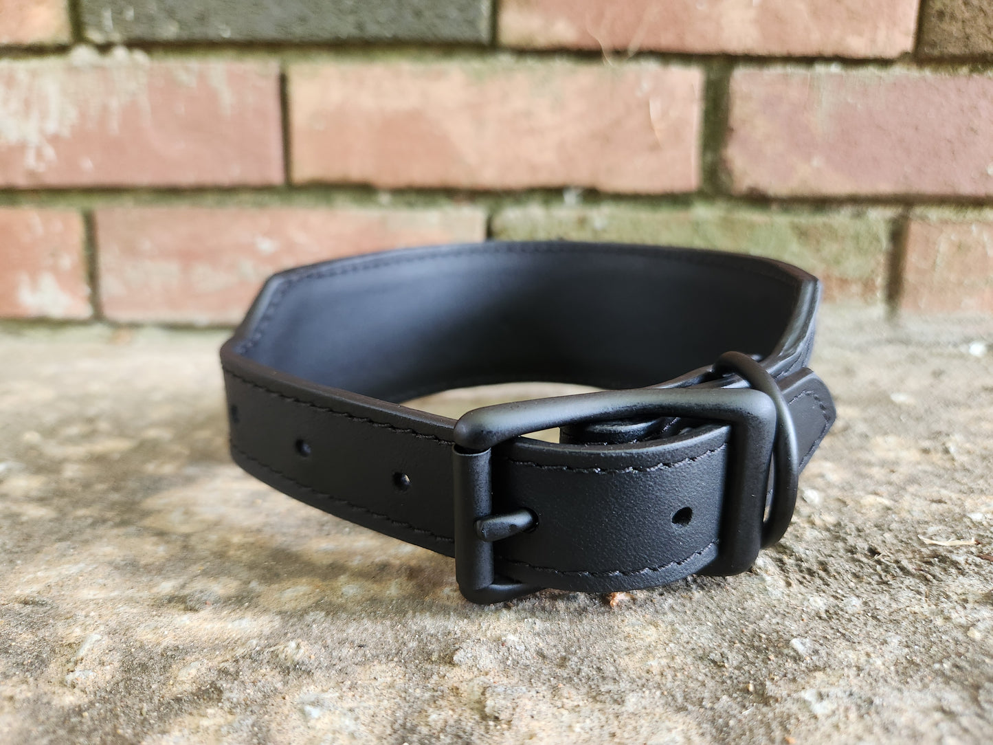 Custom Magical Cats Collar