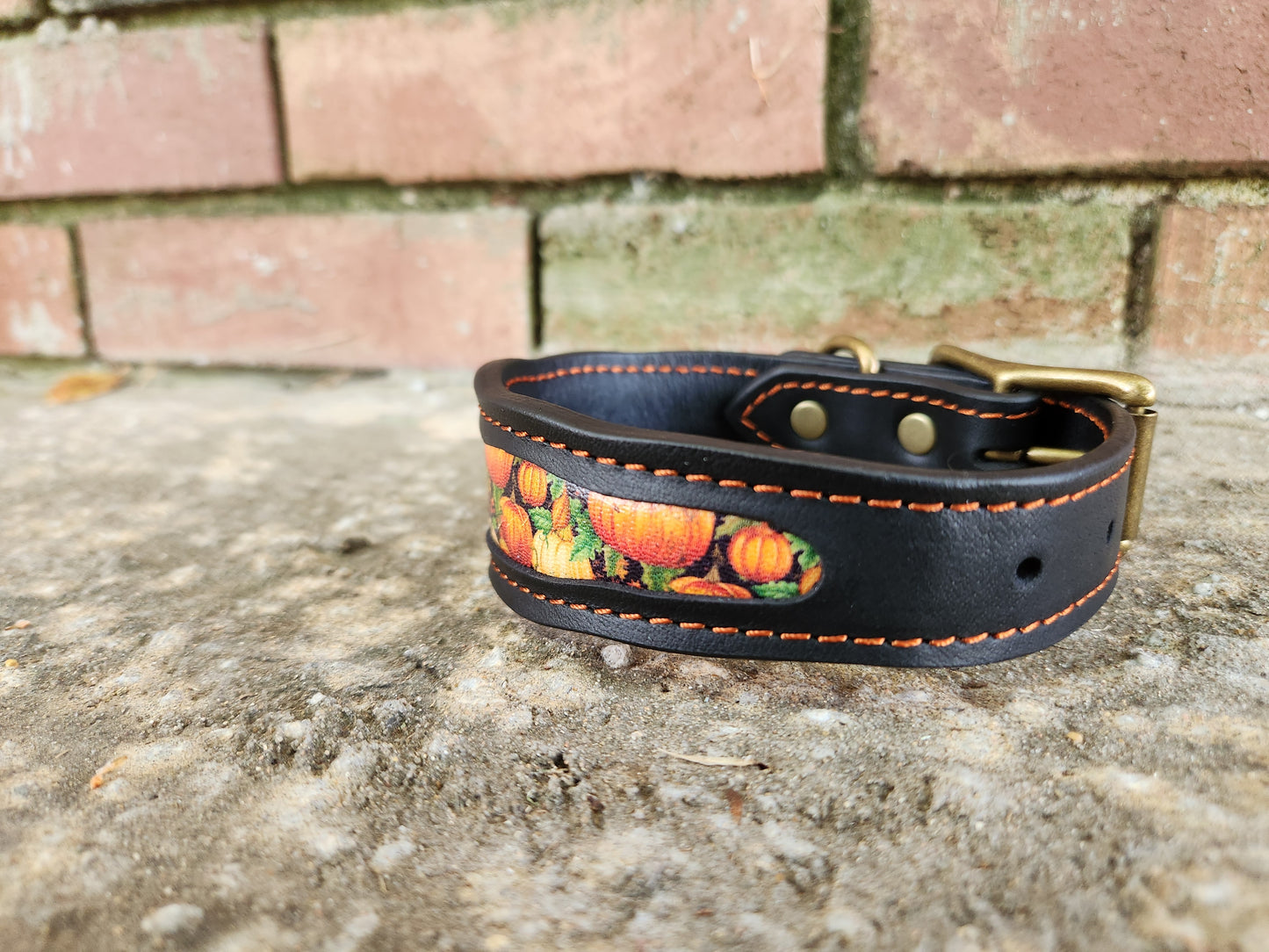 Custom Pumpkin Collar