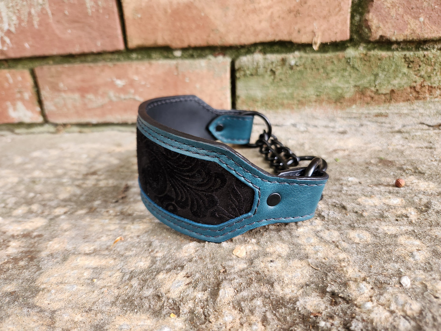 Teal and black martingale