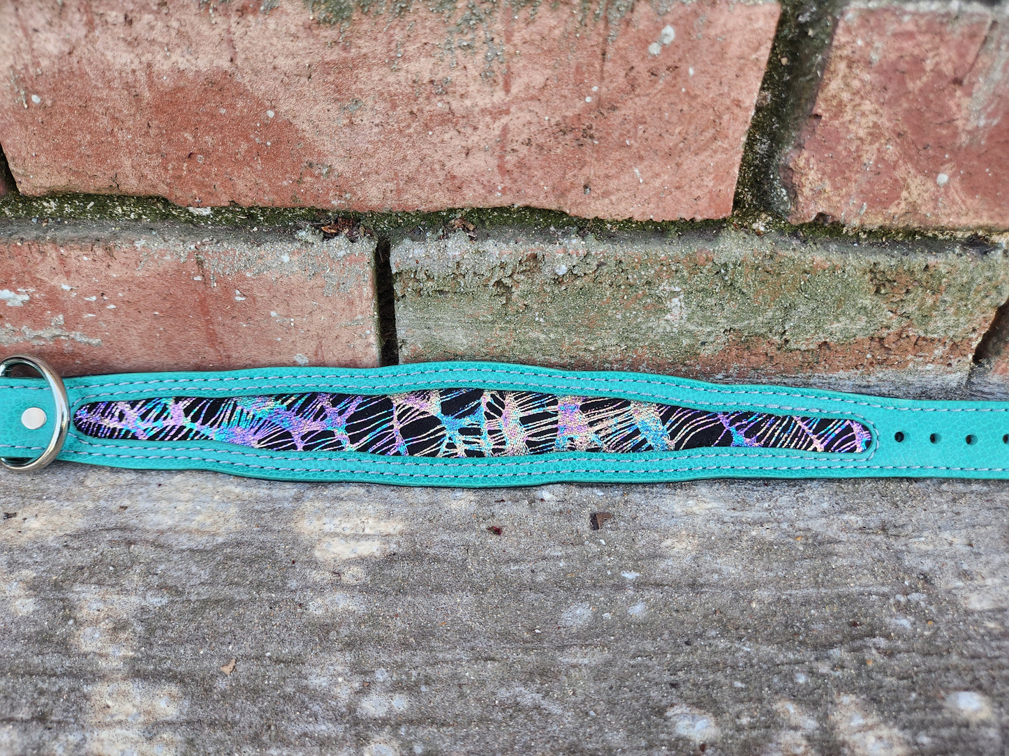 Custom 1.5in Wide Buckle Collar W/Frame