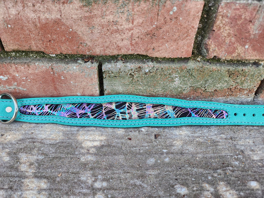 Custom 1.5in Wide Buckle Collar W/Frame