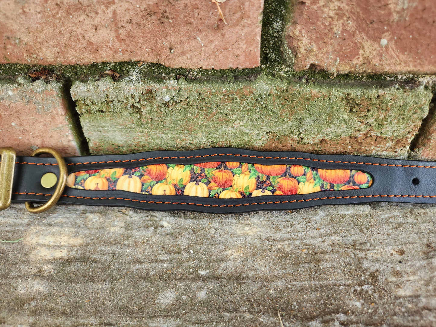 Custom Pumpkin Collar