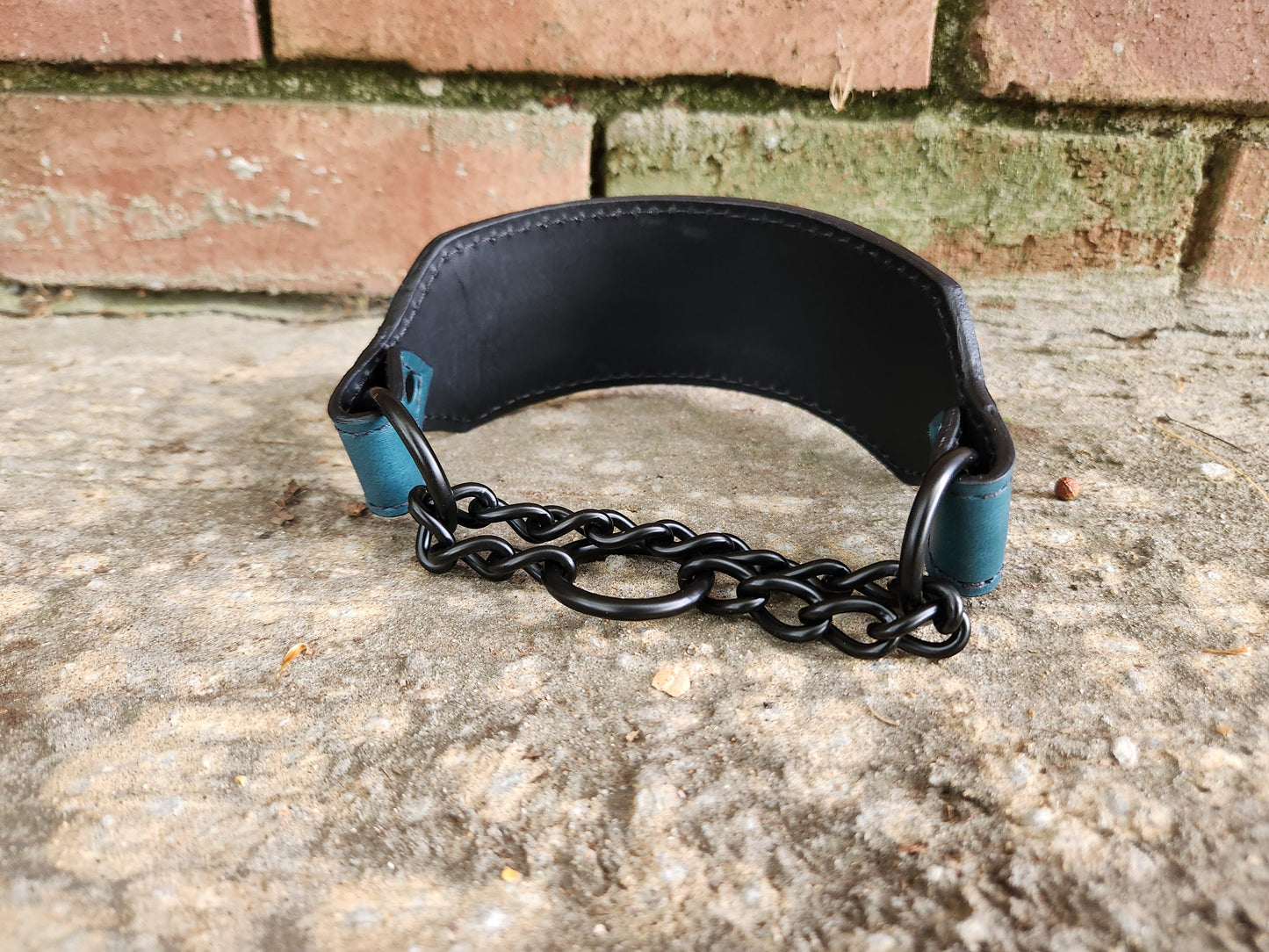 Teal and black martingale