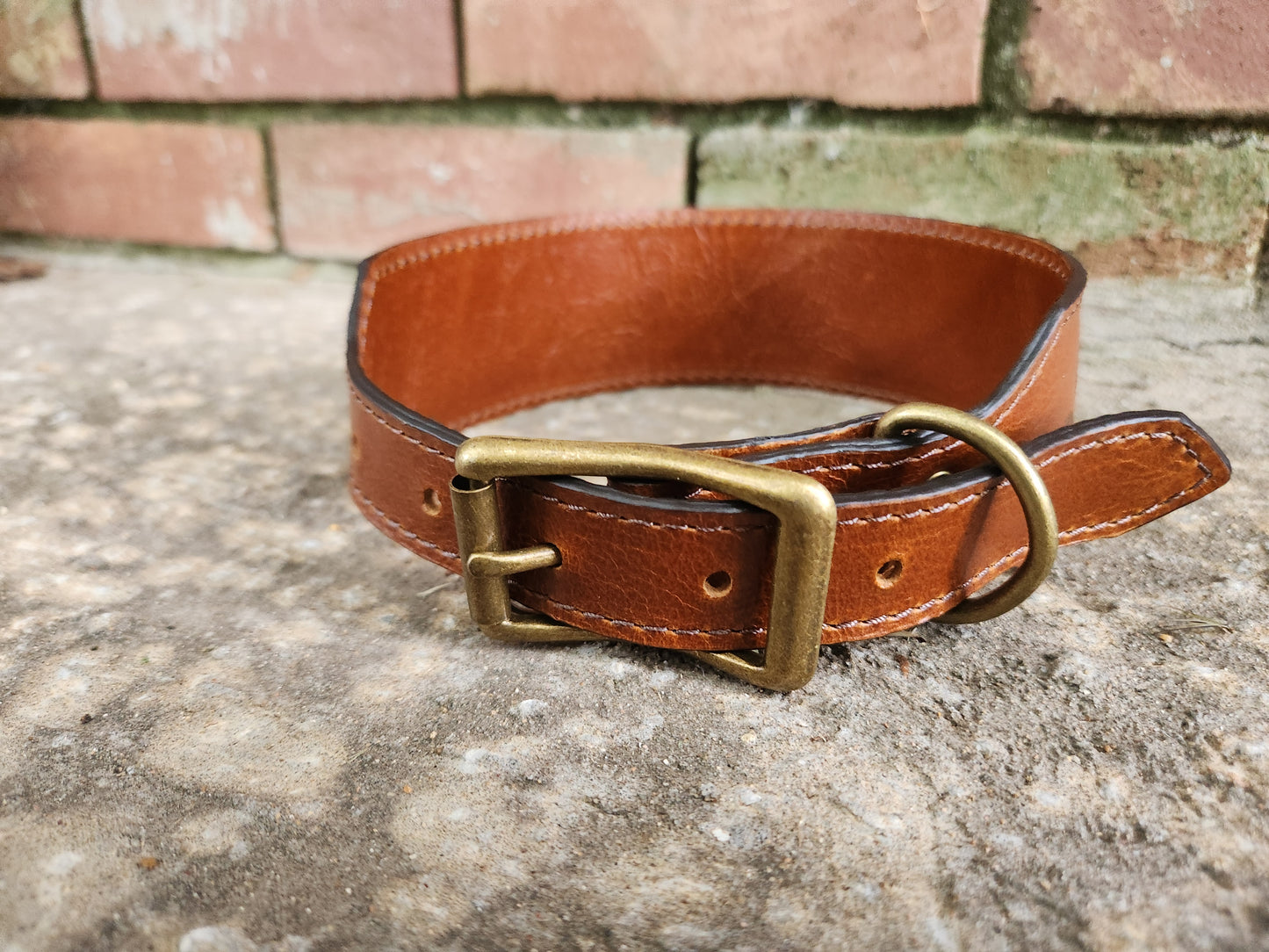 Mushroom Collar
