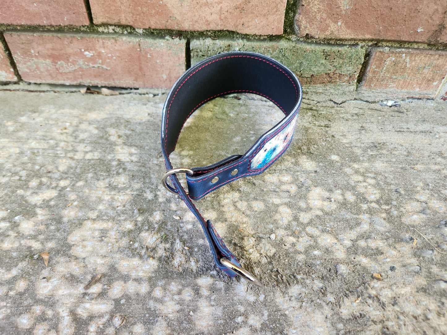 15-19in Firework Collar