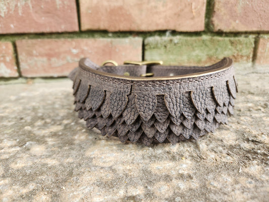 Acorn Scales