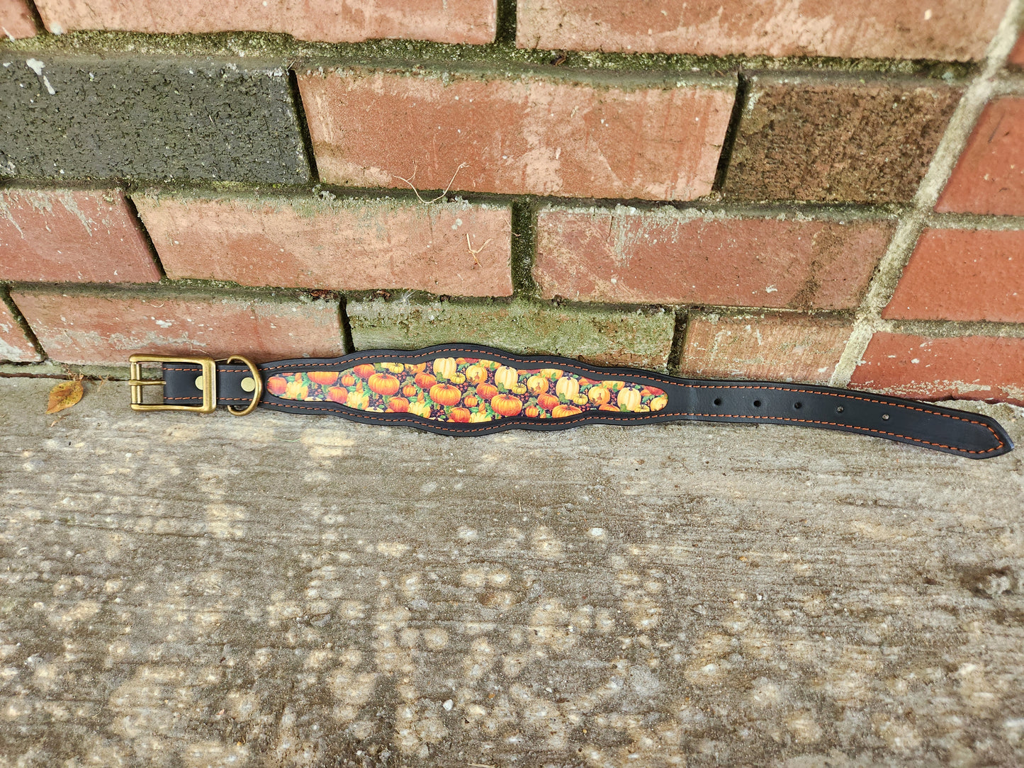 Custom Pumpkin Collar