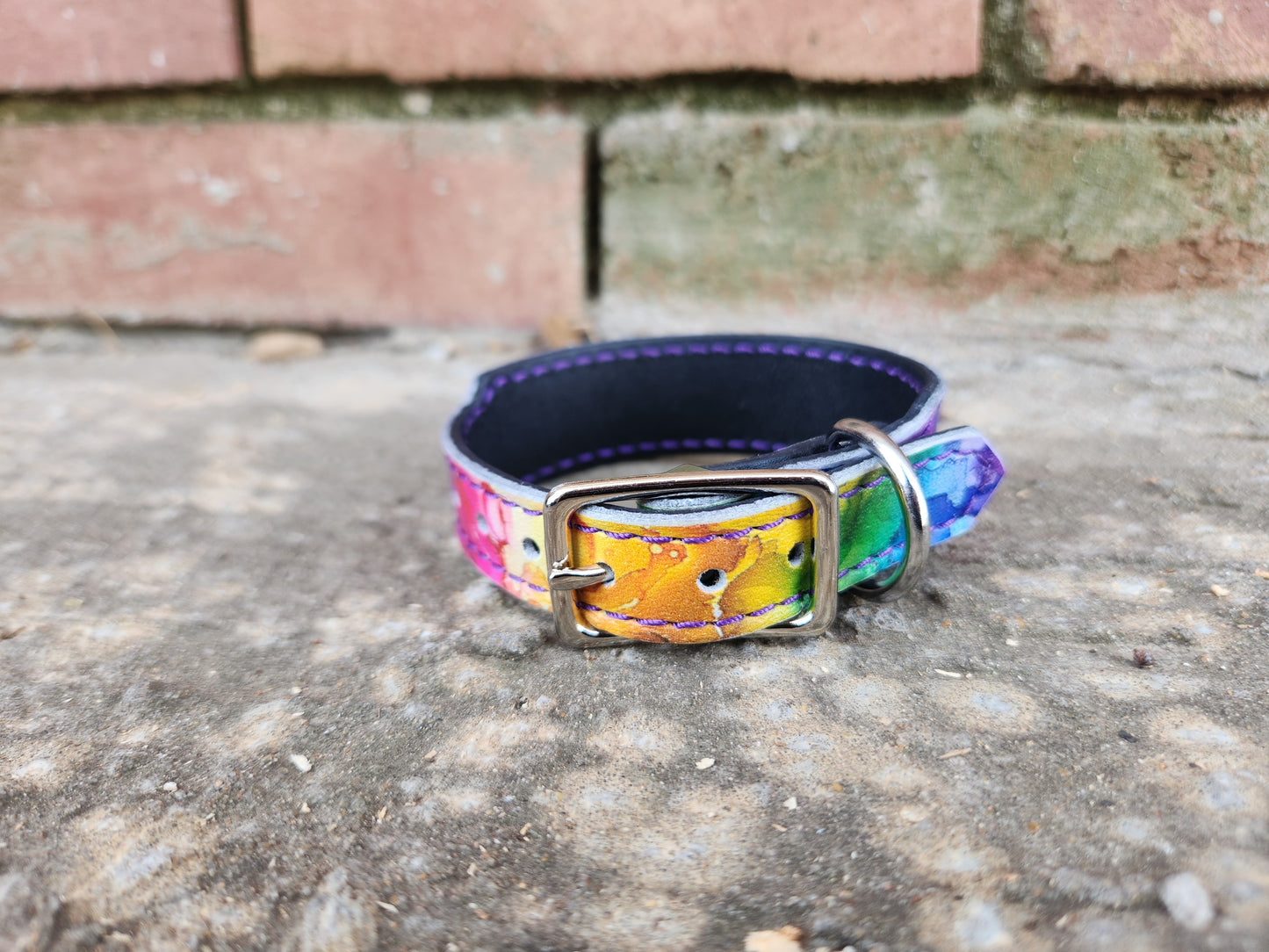 Rainbow collar