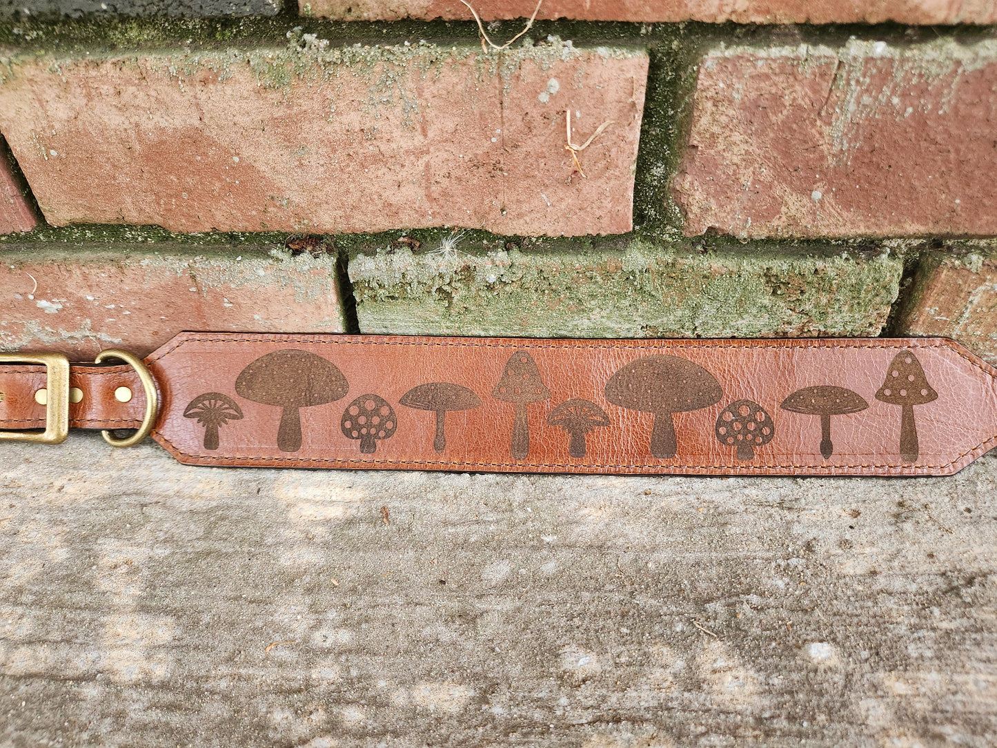 Mushroom Collar