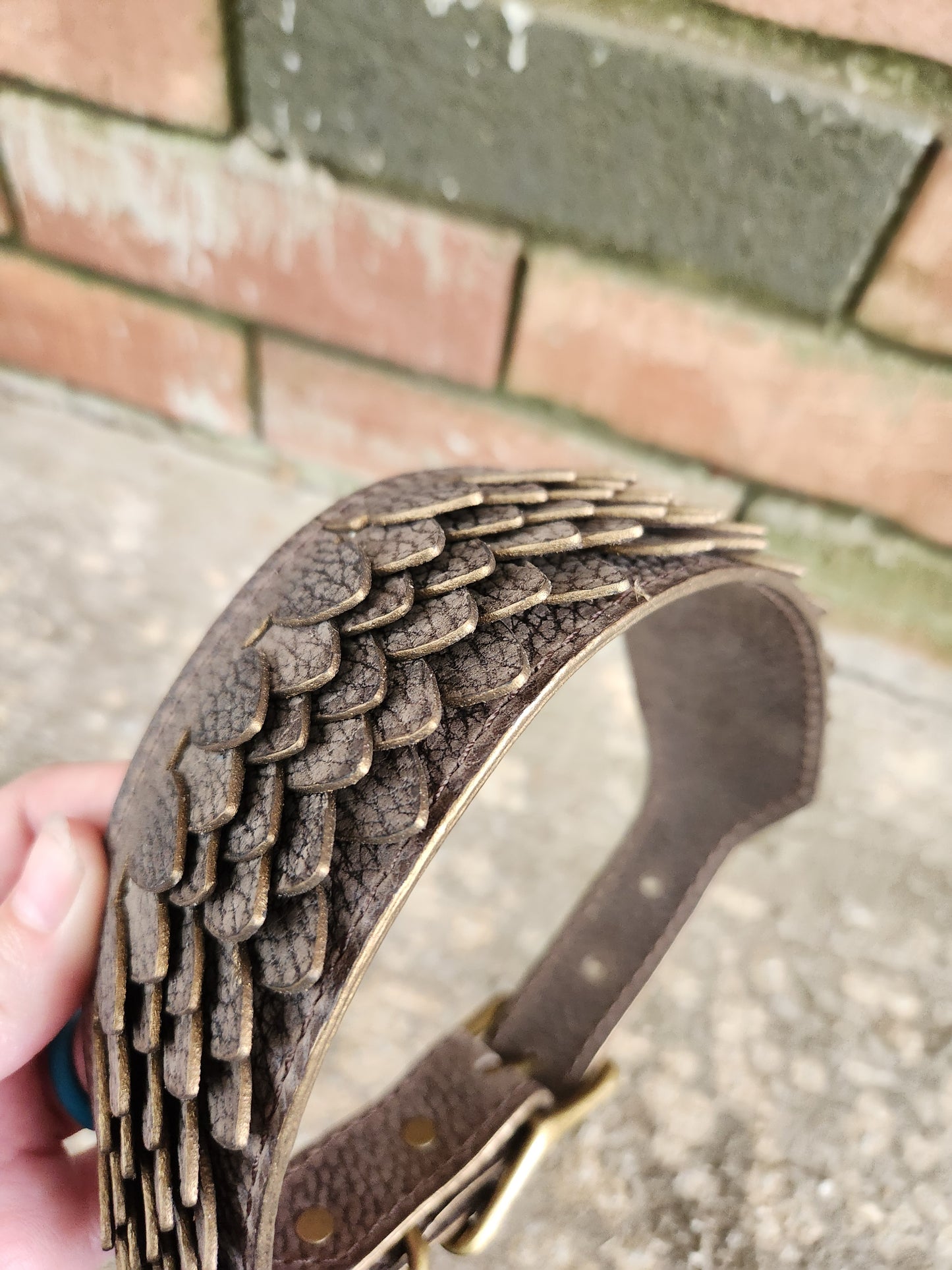 Acorn Scales